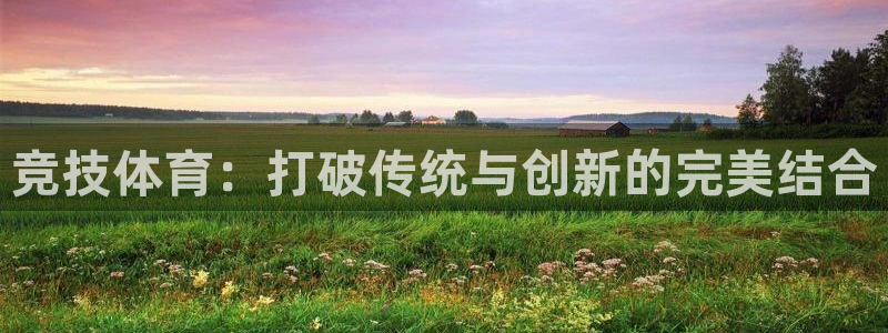 竞技体育：打破传统与创新的完美结合