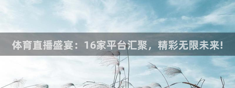 体育直播盛宴：16家平台汇聚，精彩无限未来!